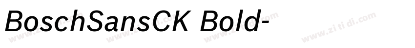 BoschSansCK Bold字体转换